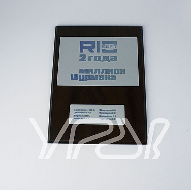 Комплект наград для компании Rio soft.  2