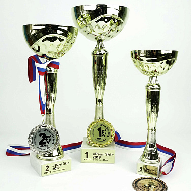 Комплект наград для лыжной гонки Perm Ski.  4
