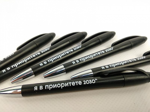 Ручка пластиковая шариковая - «Я В ПРИОРИТЕТЕ 2030» - «ПГНИУ».  2