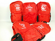 Рюкзак «Fold-it» складой (красный) - «этно медведь, утка, заяц, лиса» - Теплоходная компания «ВолгаWolga» - «Большой МАЯК»