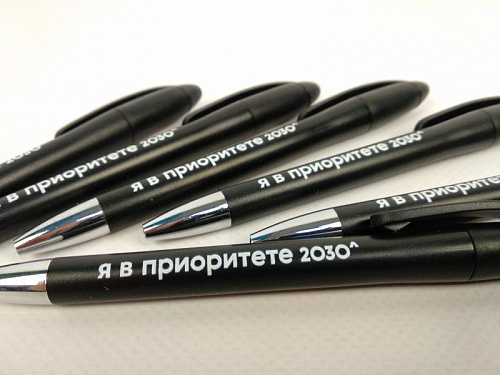 Ручка пластиковая шариковая - «Я В ПРИОРИТЕТЕ 2030» - «ПГНИУ».  3